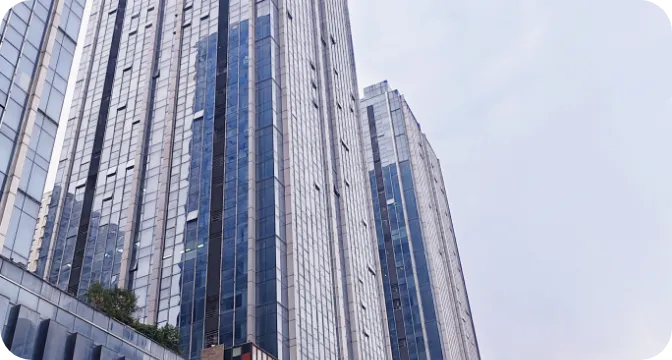 중국 법인